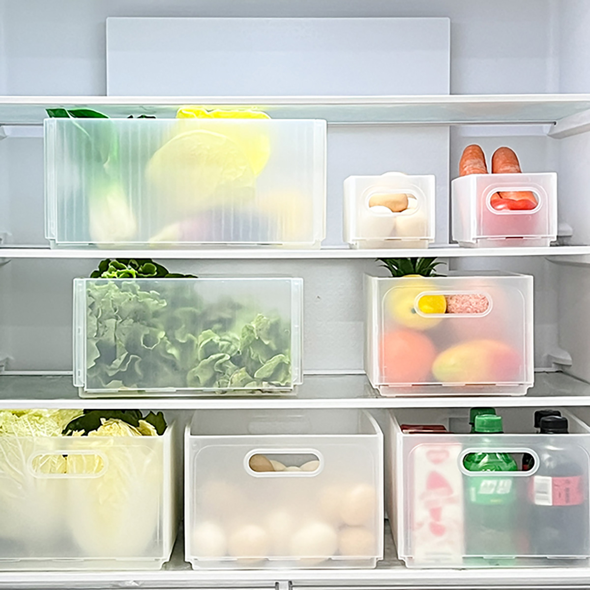WORTHBUY – boîte de rangement  - Food Xxl avis et prix