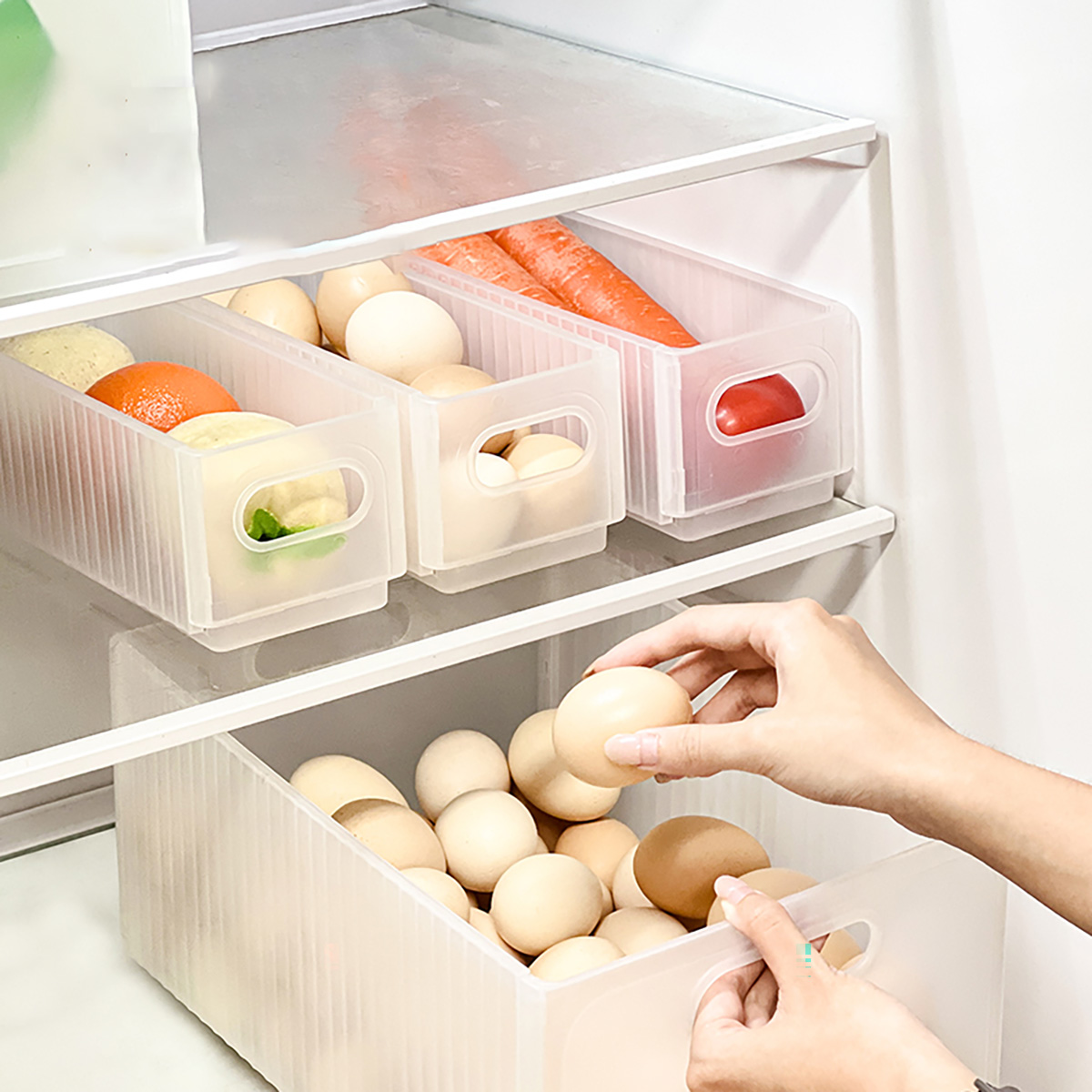WORTHBUY – boîte de rangement  - Food Xxl avis et prix