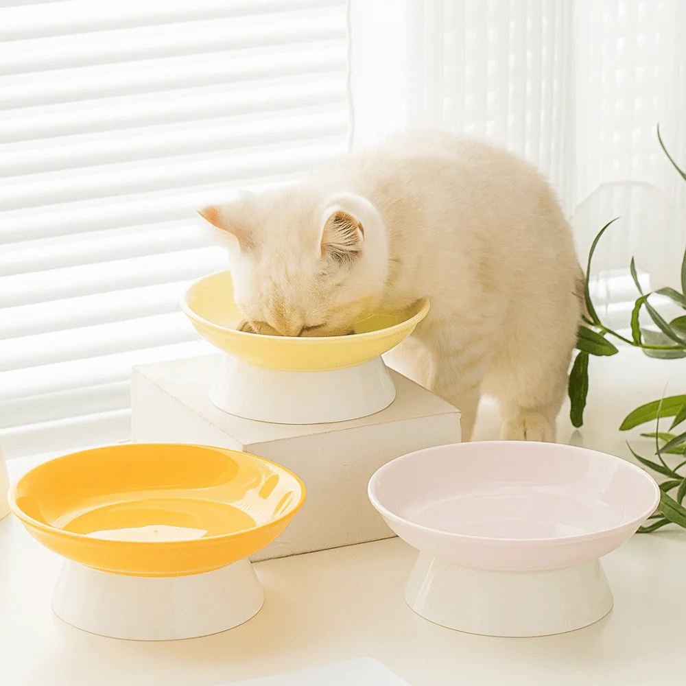 Bol en céramique créatif pour  - Food Xxl avis et prix