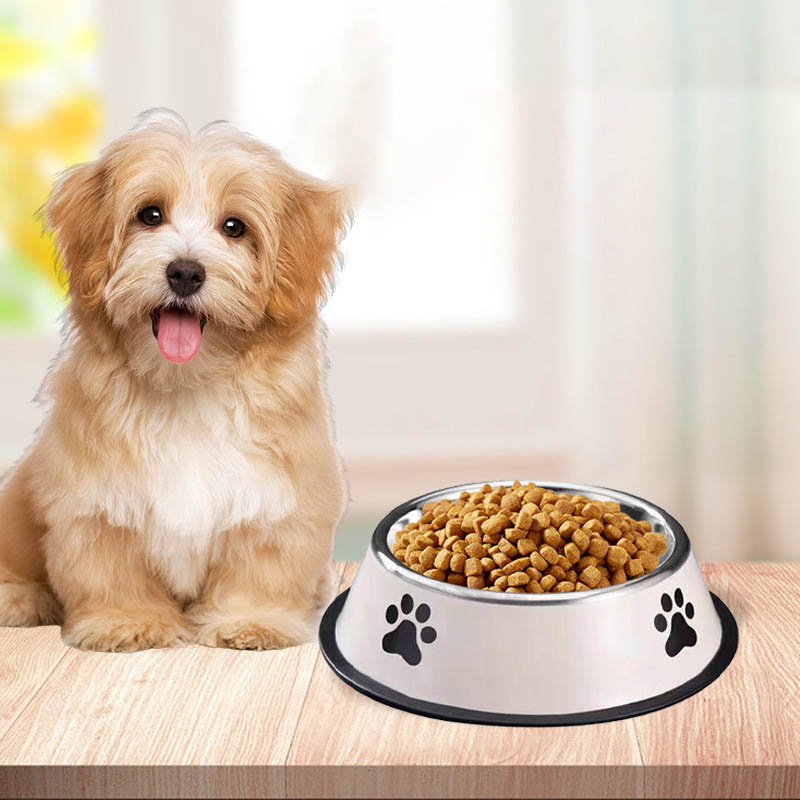 Bol pour animaux de compagnie  - Food Xxl avis et prix