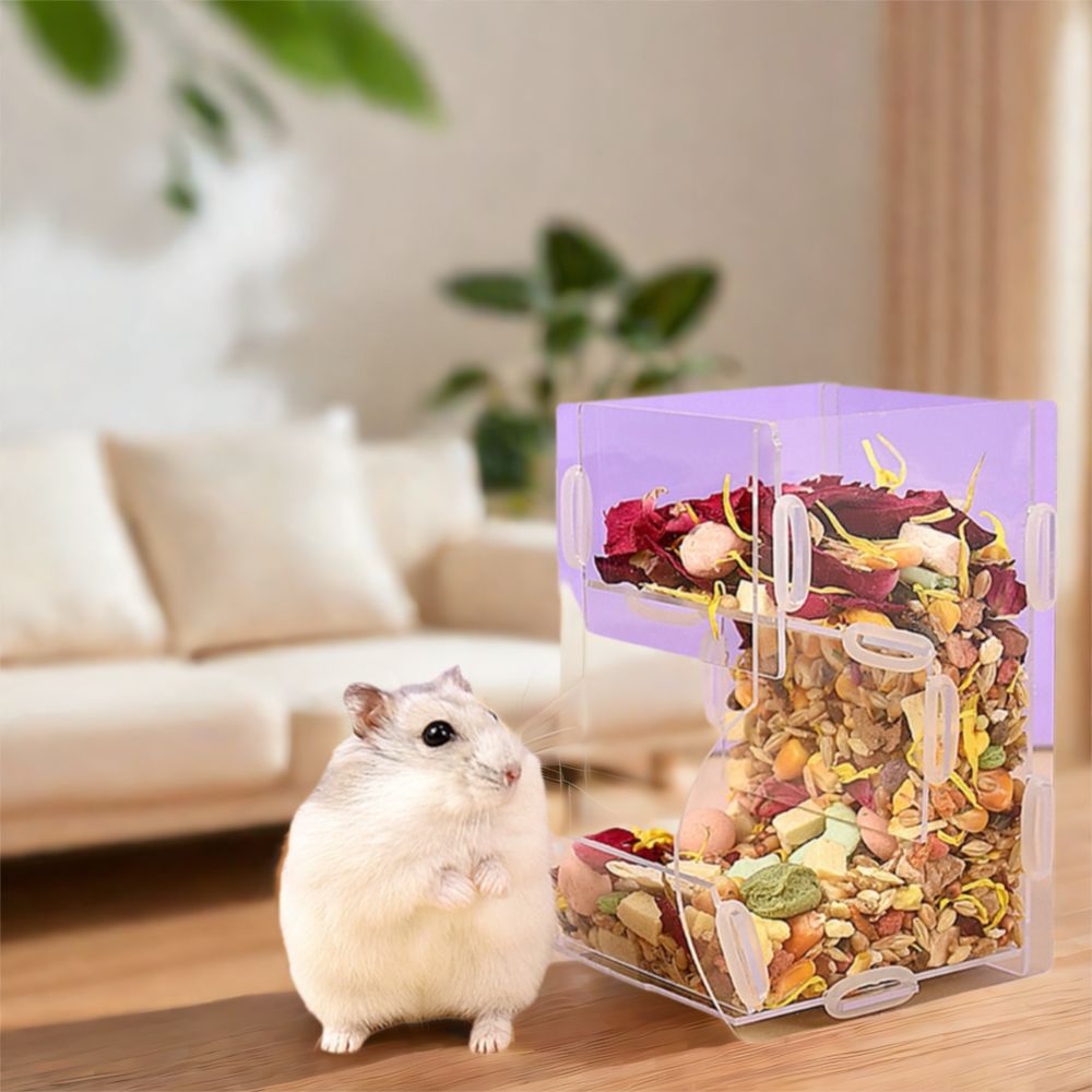 Mangeoire automatique pour ham - Food Xxl avis et prix