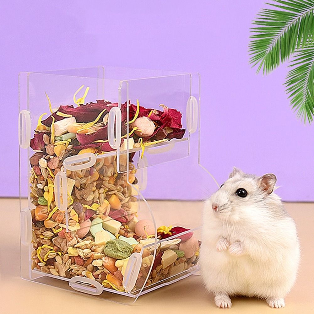 Mangeoire automatique pour ham - Food Xxl avis et prix